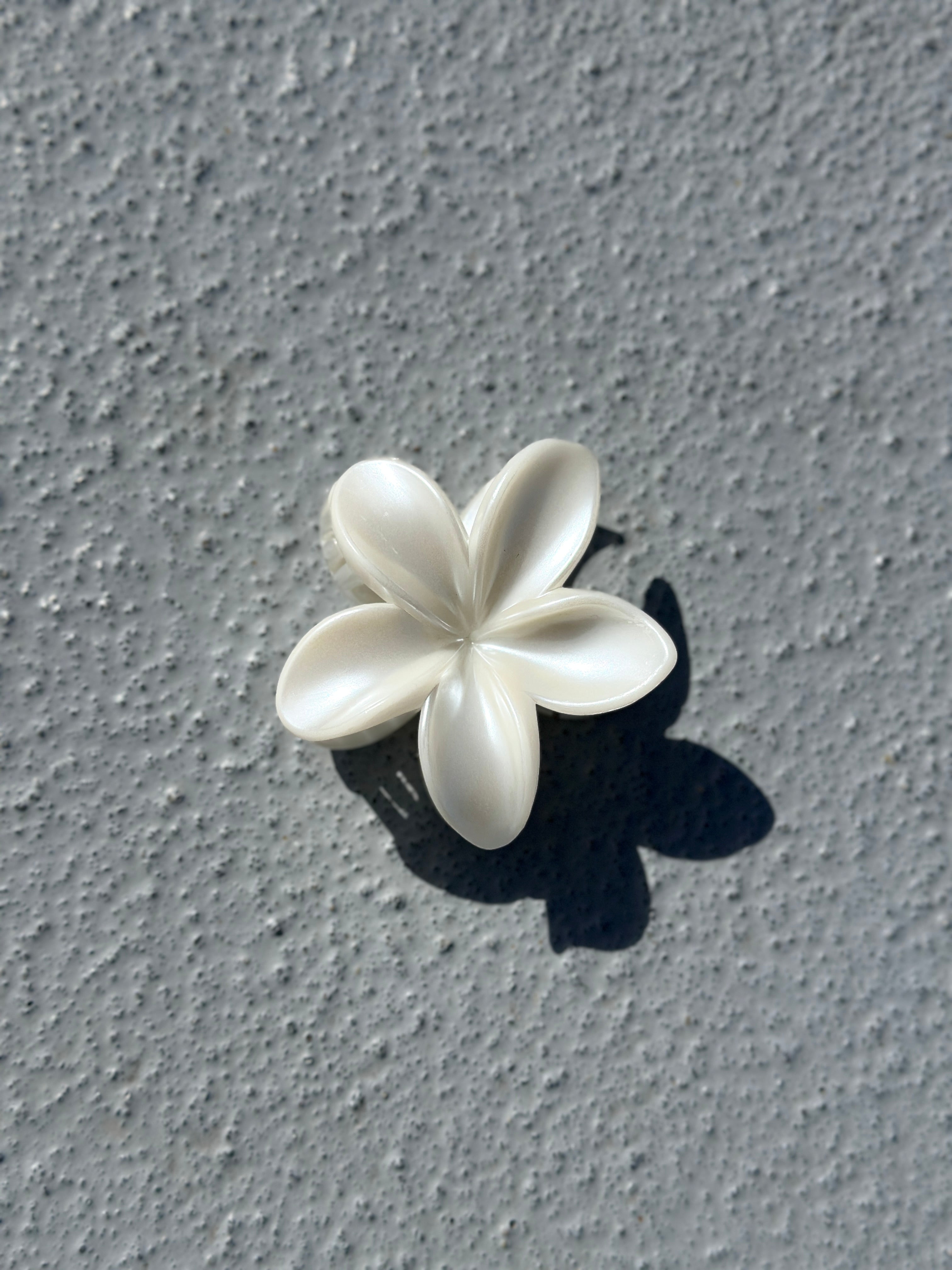 Divine flower clip
