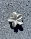 Divine flower clip